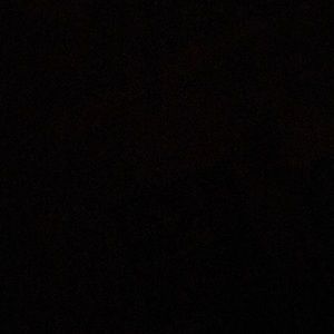 Meet your Posher, Wayne